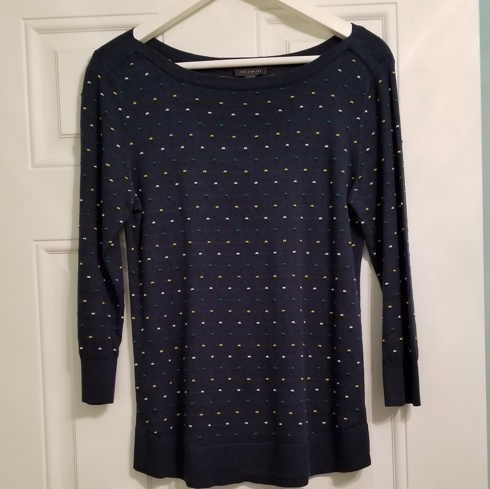 The Limited Teal Sweater